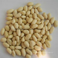 Núcleo de cacahuete blanqueado, exportación de la FDA